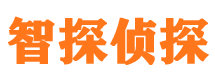 桐柏智探私家侦探公司